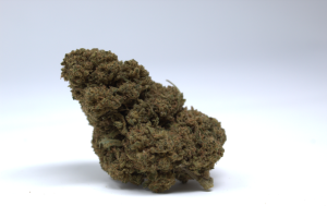 Imagen de primer plano de la flor Gorilla Blue CBD de Green Gourmet, mostrando sus matices verdes y azulados con una alta densidad de tricomas sobre fondo blanco.