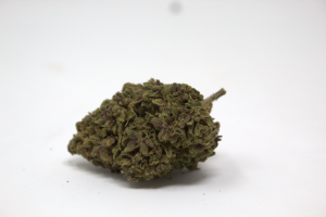 Primer plano de un cogollo de Jungle Haze CBD (1g) de Green Gourmet, mostrando su estructura sativa, pistilos ocres y tricomas sobre fondo neutro.