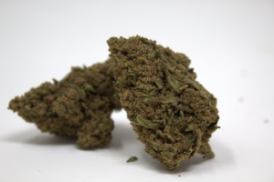 Primer plano de la flor CBD Rainbow Crash (1g) de Green Gourmet, mostrando su colorido espectro de verdes y pistilos brillantes en cultivo de invernadero.