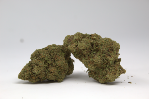 Primer plano de un cogollo de CBD Strawberry Milk de 1 gramo, con tricomas brillantes y pistilos rojizos sobre fondo neutro, para el catálogo de Green Gourmet.