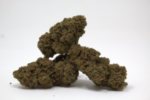 Primer plano de flor CBD Tutti Frutti Greenhouse de 1 gramo, destacando sus tonos verdes claros y su aspecto carnoso para catálogo de Green Gourmet.
