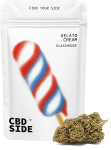 Primer plano de flores de CBD Gelato Cream en formato 2g, mostrando resina y coloración verde brillante sobre fondo neutro.