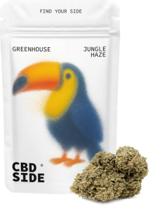 Bolsa retail de 3g de flores Jungle Haze CBD Greenhouse de Green Gourmet, cogollos de color verde vibrante con tricomas brillantes.