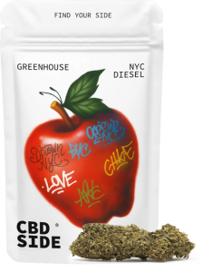 Bolsa retail de 3g de flores NYC Diesel CBD Greenhouse de Green Gourmet, cogollos compactos de color verde intenso y resinosos.