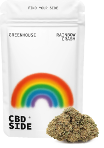 Bolsa retail de 3g de flores Rainbow Crash CBD Greenhouse de Green Gourmet, cogollos compactos con resina brillante y tonos vibrantes.