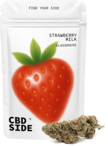 Bolsa retail de 2g de flores Strawberry Milk CBD Glasshouse de Green Gourmet, cogollos densos y cargados de resina con tonos claros.